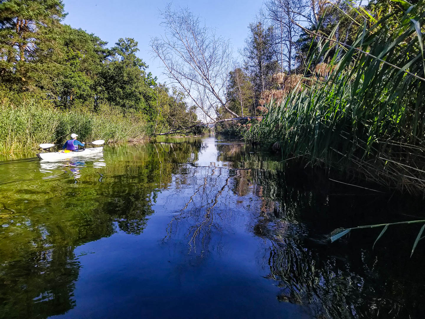 Kajaktour Starnberger See & Würm 05.09.2021